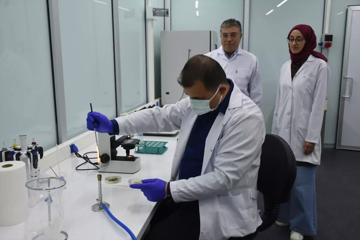 Yerli Mikotoksin Analiz Maddesi Patenti Alındı