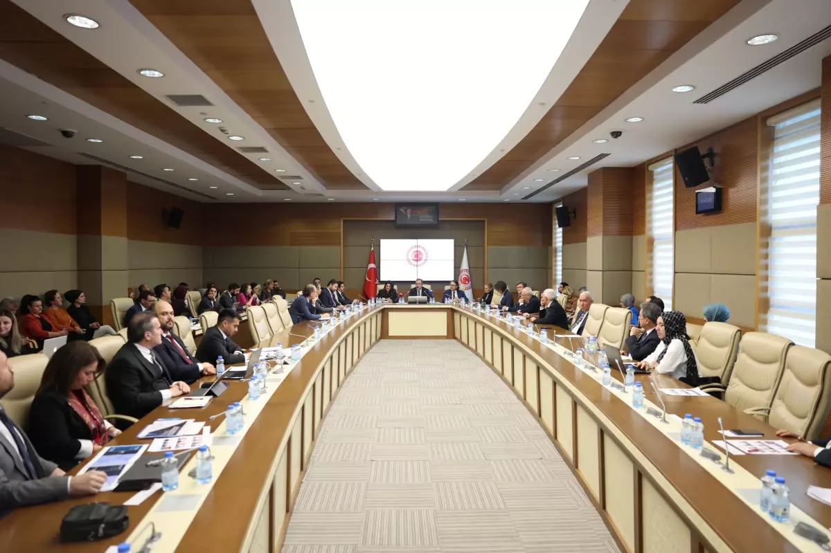 Engelsiz Yaşam İçin Yeni Vizyon