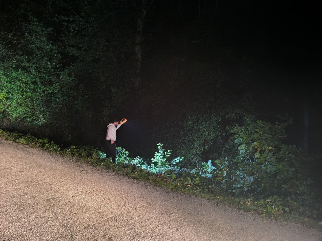 Mantar toplamak için evden çıkan anne ve oğlu sırra kadem bastı Mantar toplamak için evden çıkan anne ve oğlu sırra kadem bastı