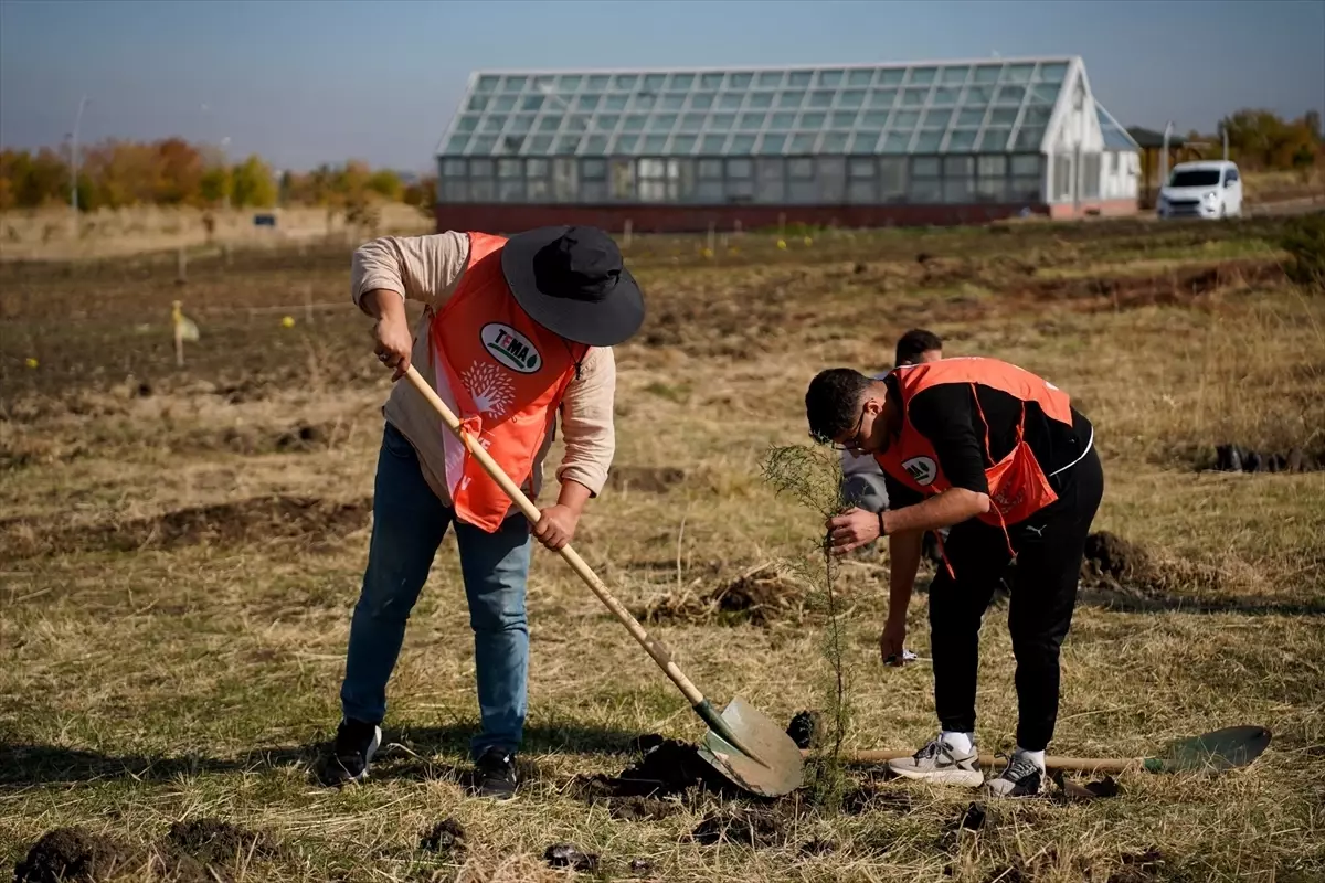 Muş\'ta Fidan Dikme Etkinliği