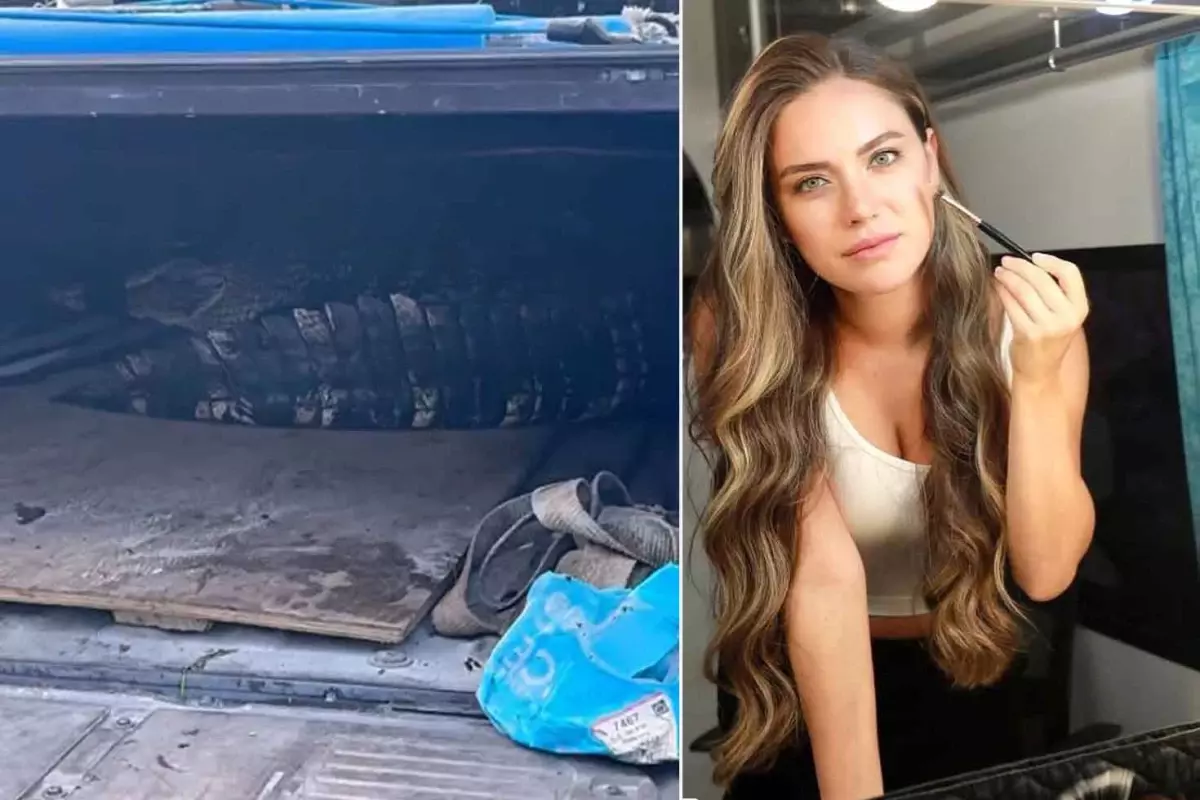 Oyuncu Ceyda Ateş\'in oturduğu sitede timsah yakalandı