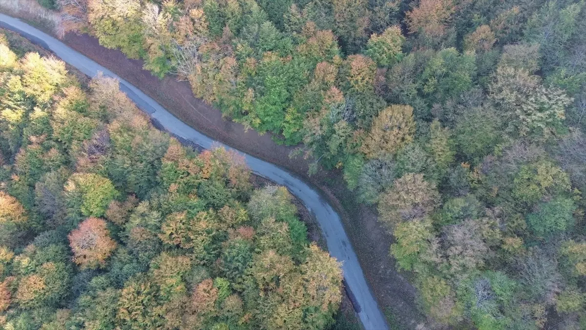 Yunt Dağı\'nda Sonbahar Güzellikleri
