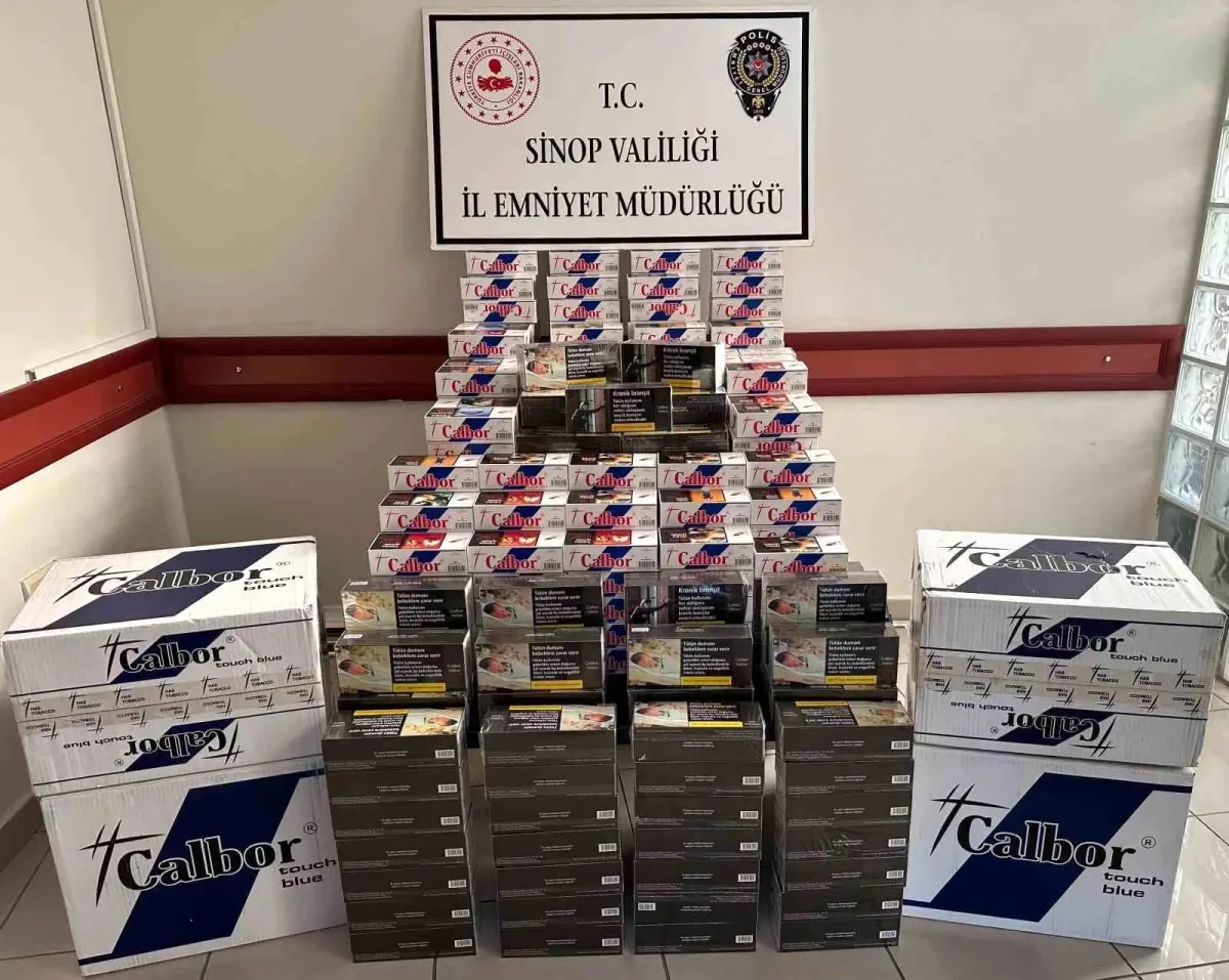 Sinop\'ta Kaçak Tütün ve Uyuşturucu Operasyonları