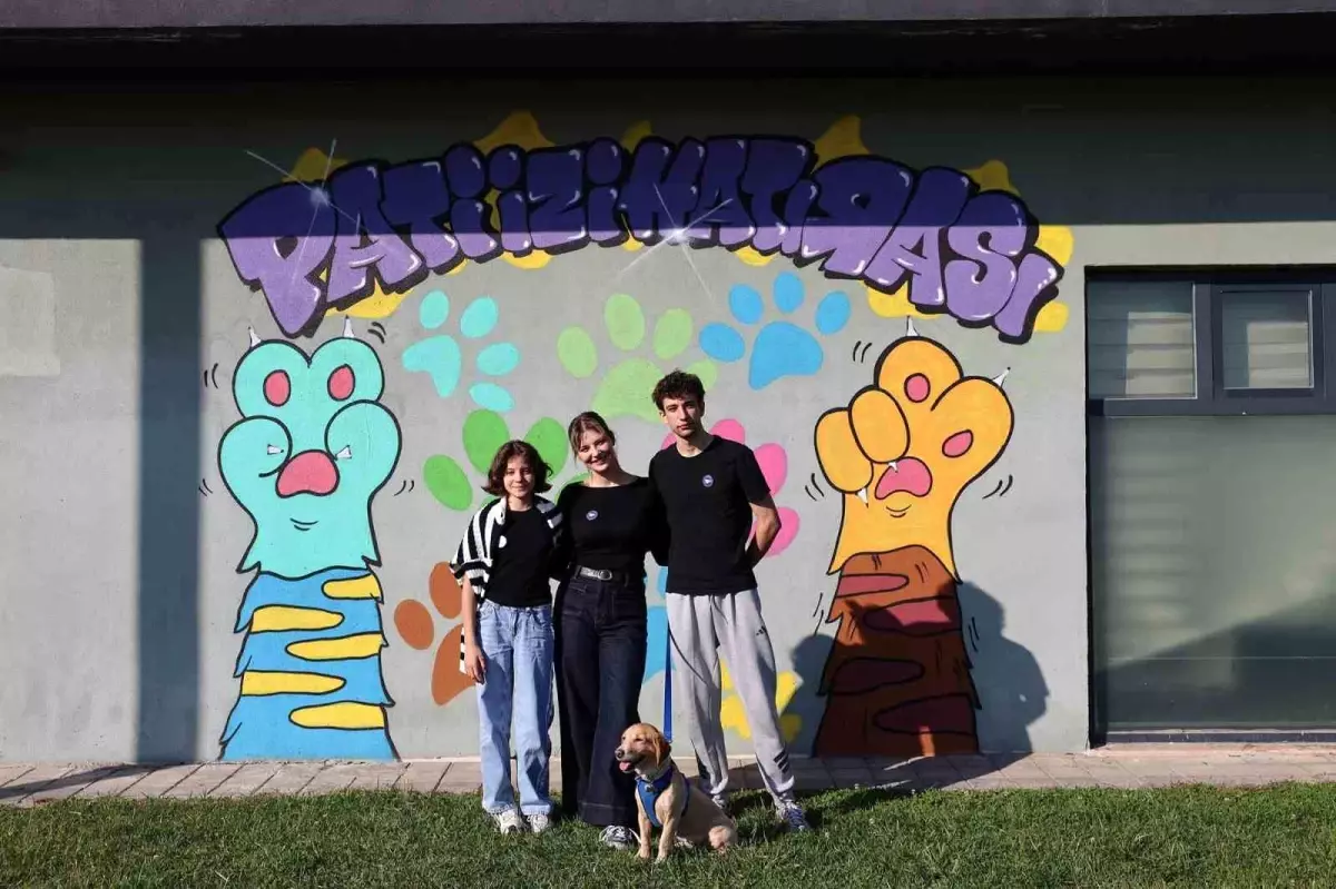 Sakarya\'da 500 Sokak Hayvanı Yeni Yuva Buldu