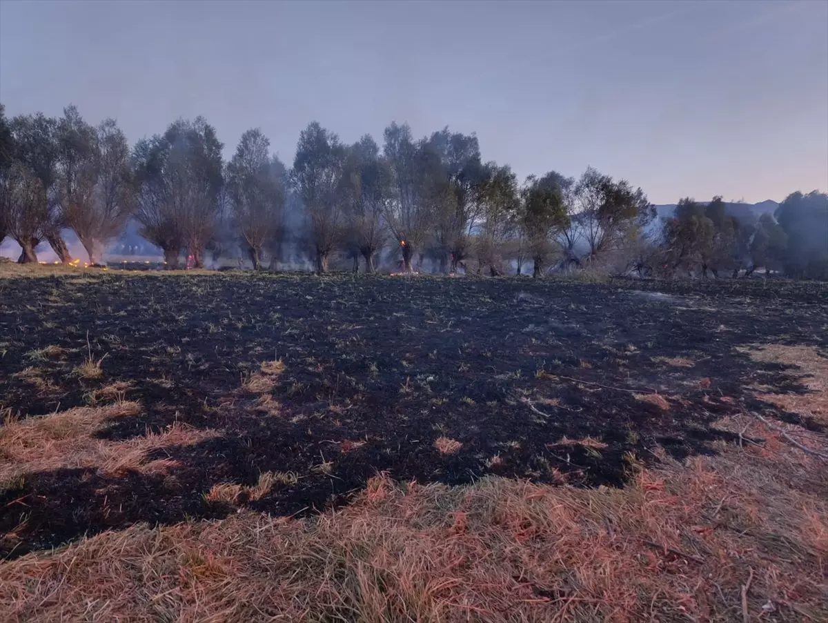 Suşehri\'nde Anız Yangını: 200 Ağaç Yandı