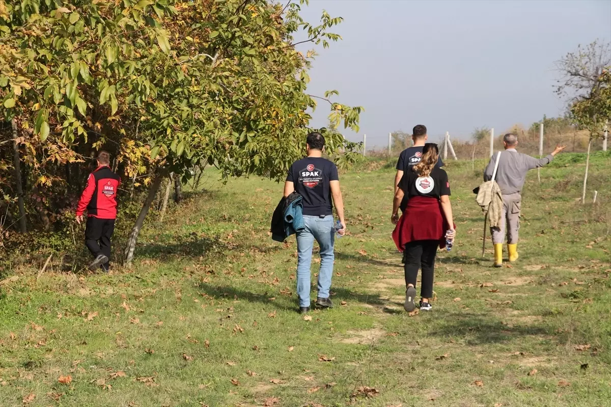 Tekirdağ\'da Kayıp 75 Yaşındaki İsmail Gürsoy Aranıyor