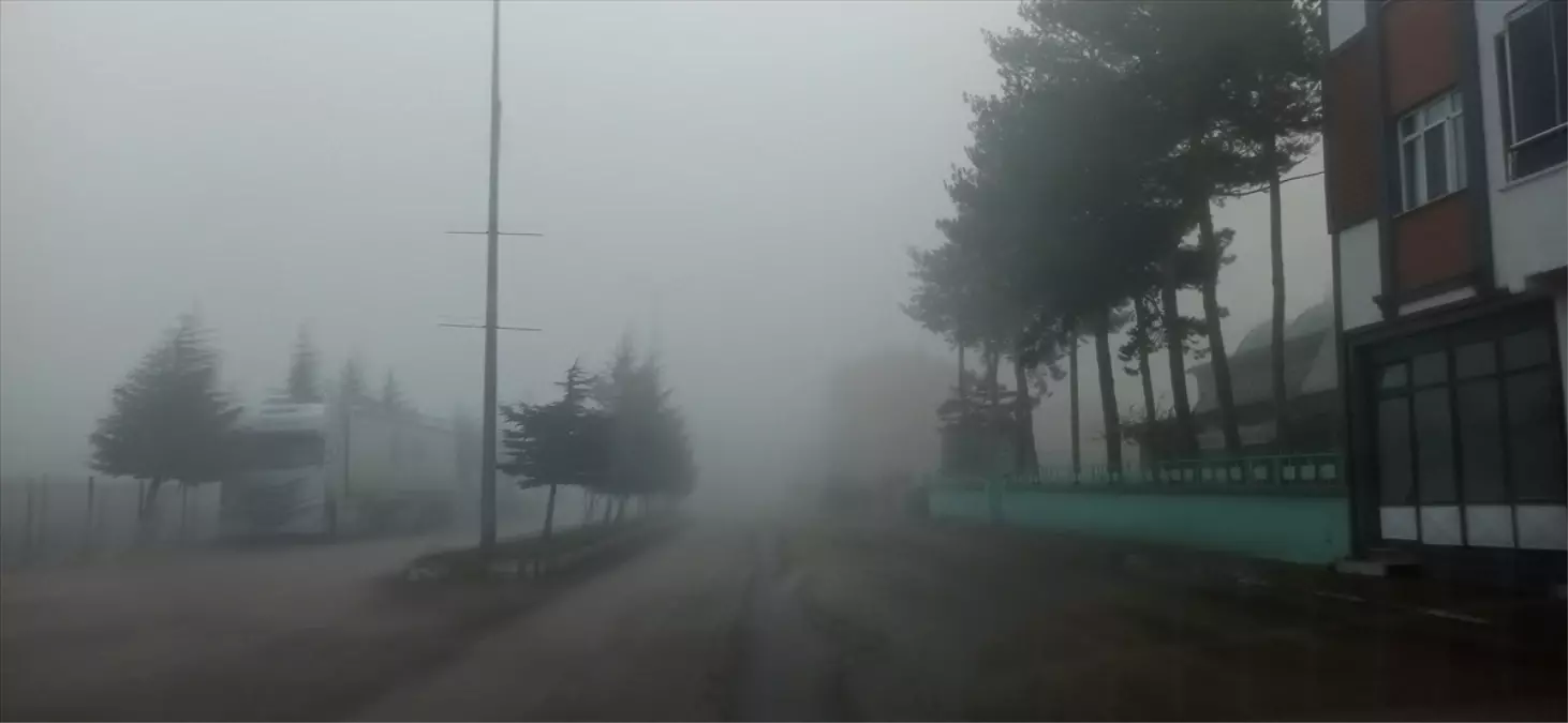 Yeşilyurt\'ta Yoğun Sis Hayatı Olumsuz Etkiledi