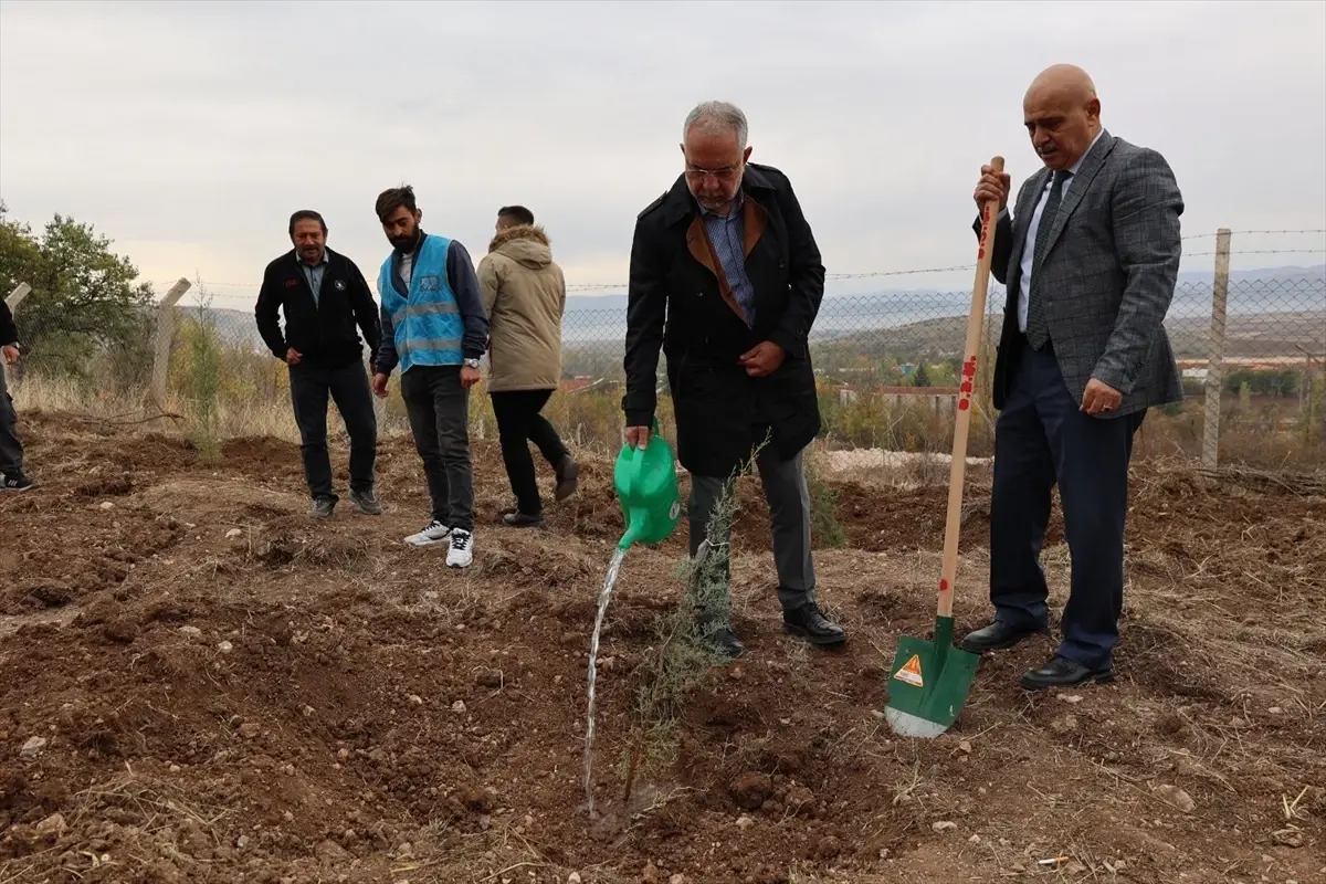 Zile\'de Fidan Dikim Etkinliği