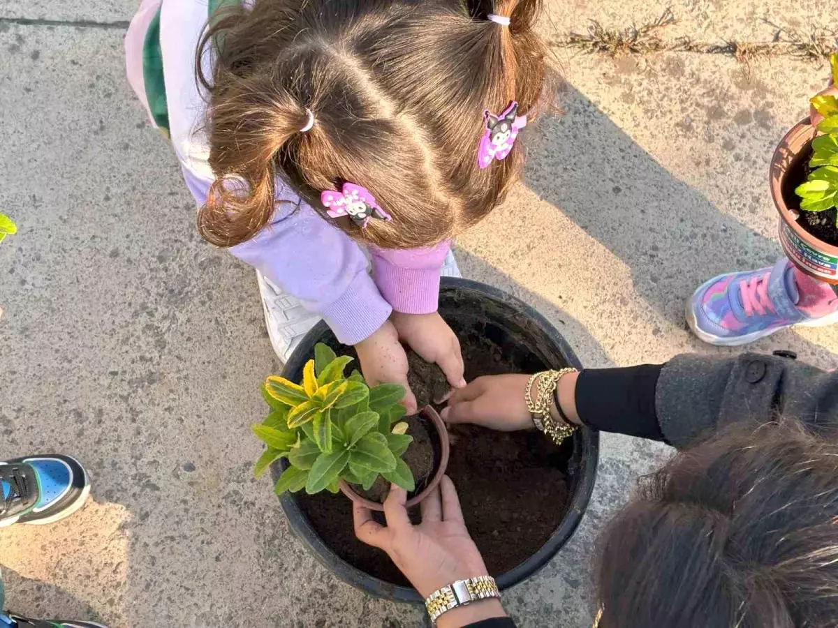 Sakarya\'da Minik Bahçıvanlar Projesi İle 3 Bin Çocuk Doğayla Buluştu
