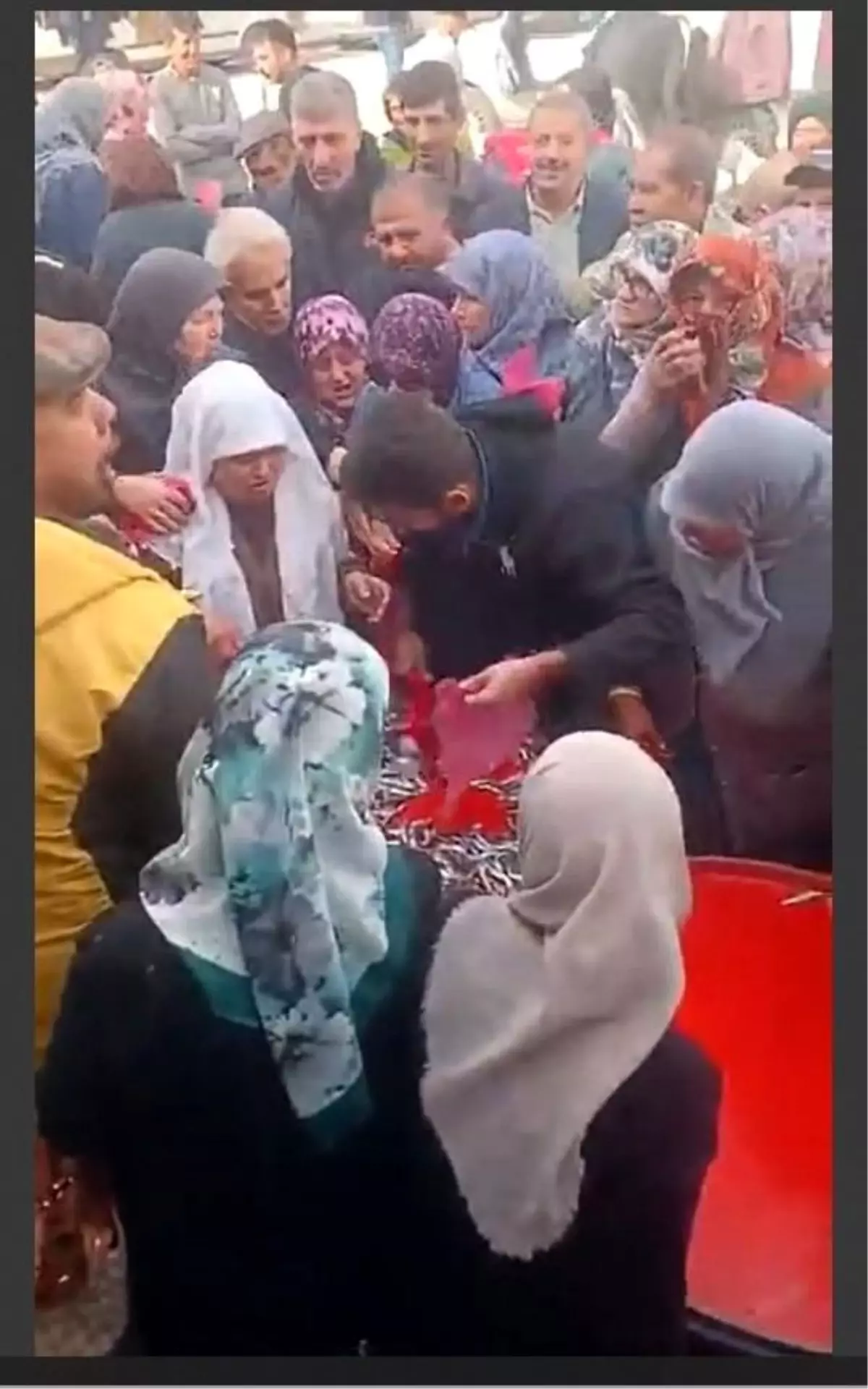 Eskişehir\'de Ücretsiz Hamsi Dağıtımı