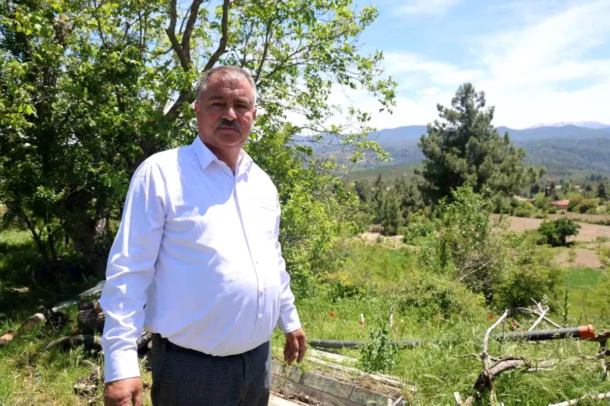 Süt Üreticileri Ekonomik Krizle Yüzleşiyor