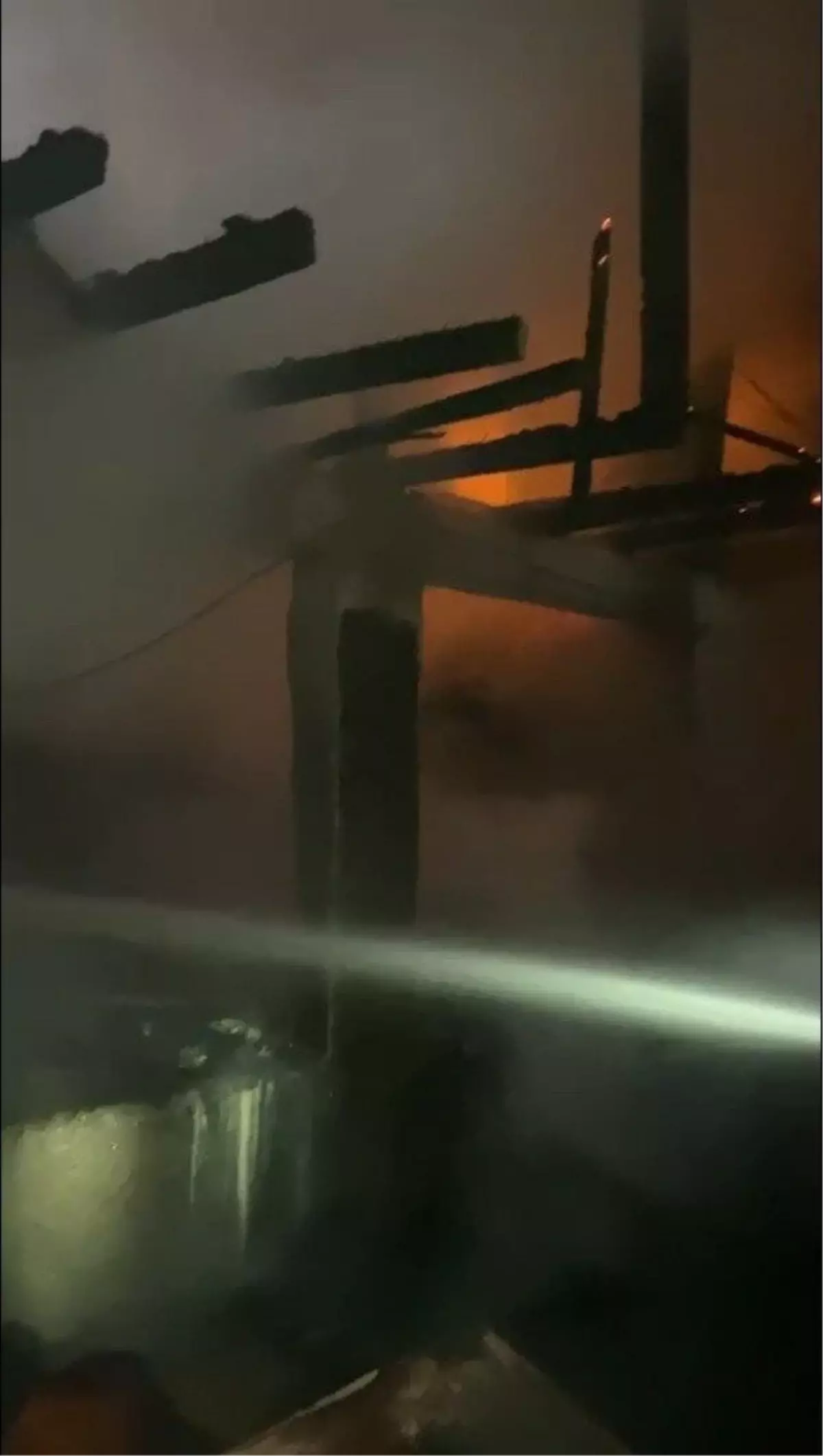 Aydın\'da Bağ Evinde Patlama ve Yangın