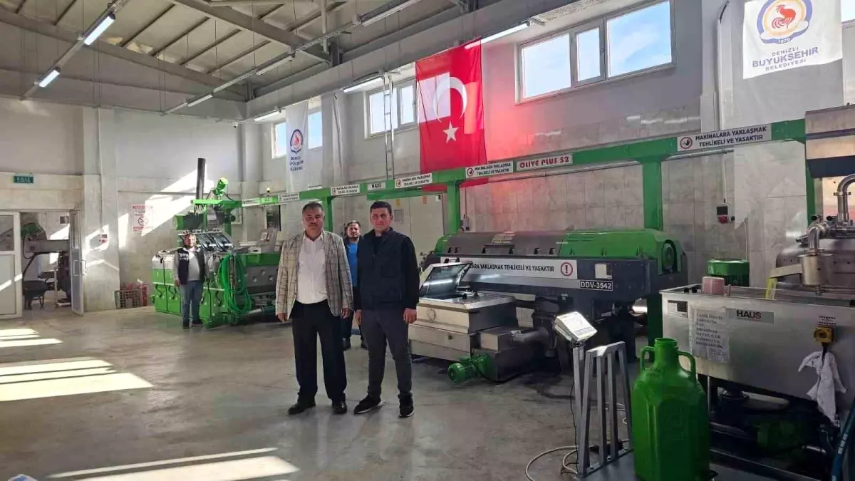 Beyağaç\'ta Zeytinyağı Üretim Sezonu Başladı