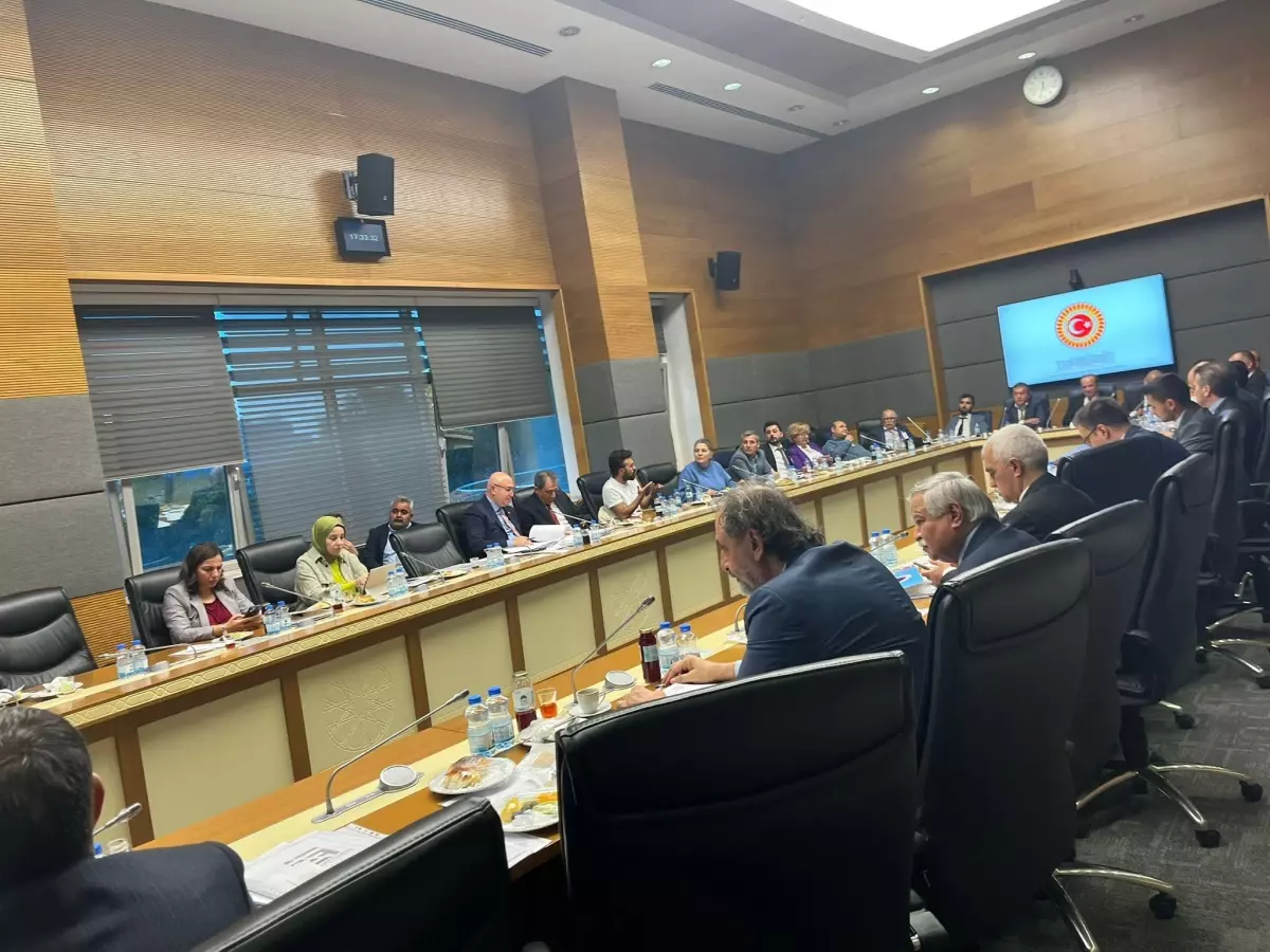 Engelli Bireylerin Sorunları TBMM Komisyonunda Ele Alındı