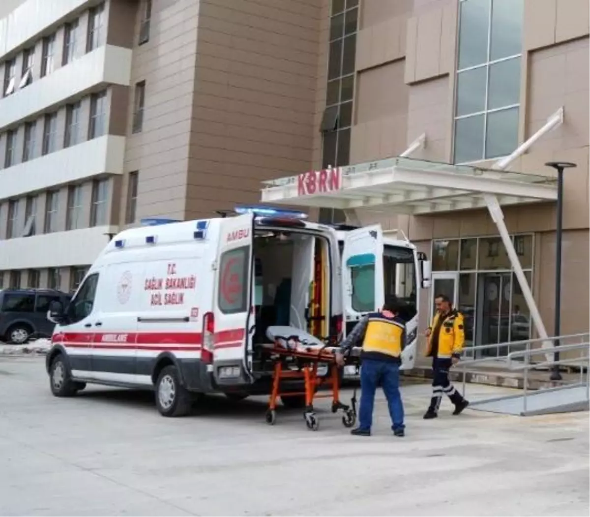 Üzümlü\'de Ayı Saldırısı