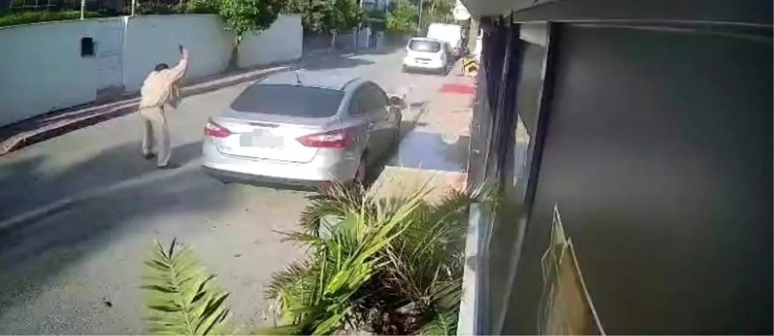 Emekli Polis Köpeği Vurdu, 4 Yıl Hapis İsteniyor