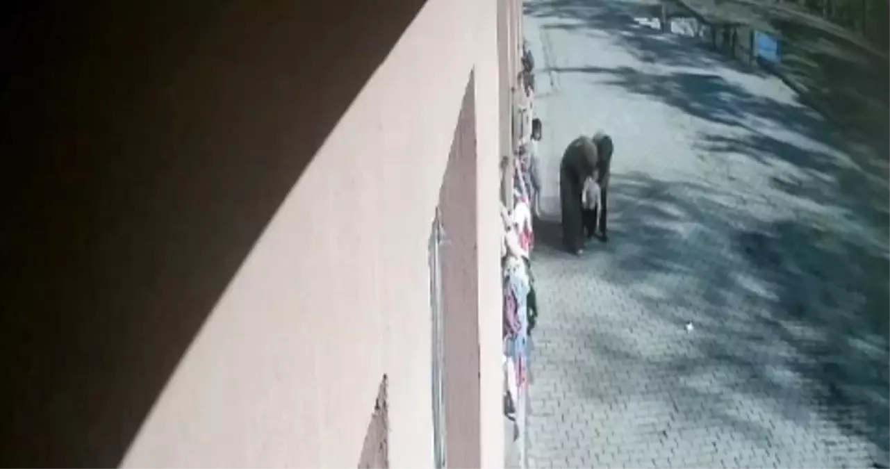 Ağrı\'da Öğretmenlerden Hayat Kurtaran Müdahale