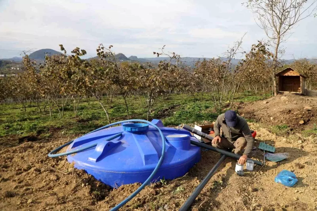 Ordu\'da Fındık Verimliliği Projesi Başlatıldı