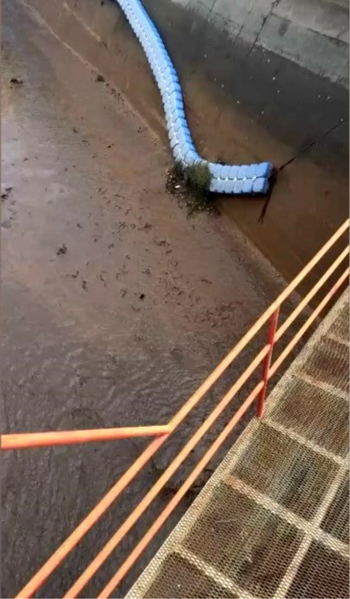 Osmaniye\'de Baraj Kapakları Balıkları Telef Etti