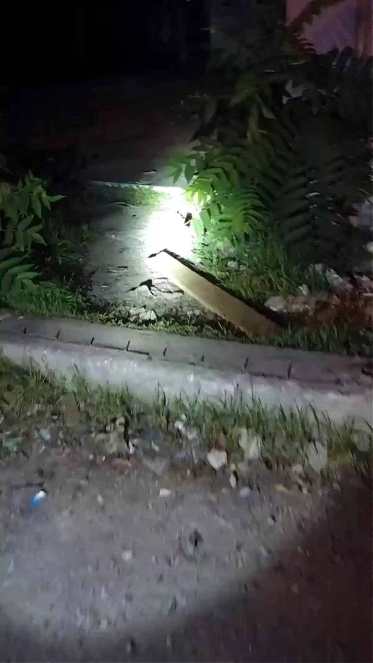 Sakarya\'da Uyuşturucu Denetimleri