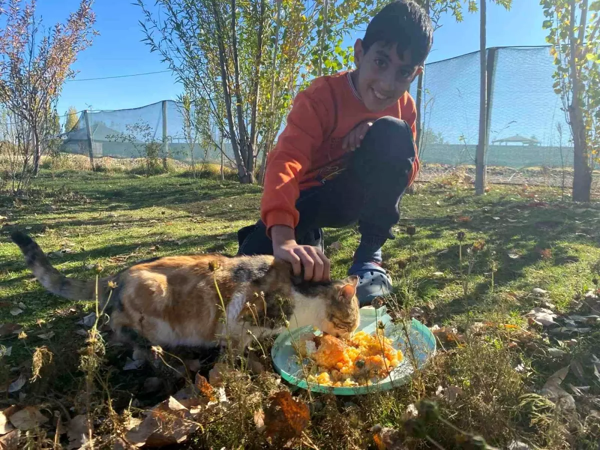 Seren Albay\'dan Sokak Hayvanlarına Sevgi Dolu Destek