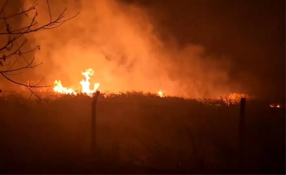 Gölbaşı\'nda Kamış Yangını Korkuttu