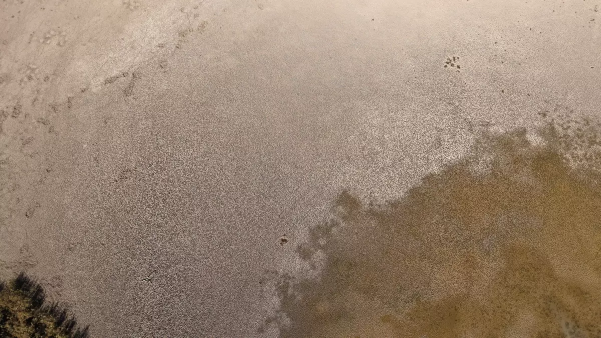 Kovada Gölü Kuruyor: Milli Park Tehdit Altında