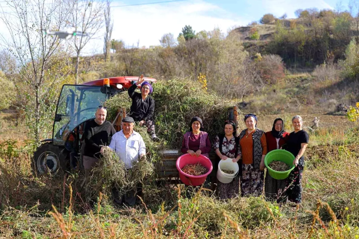 Samsun Büyükşehir Belediyesi\'nden Sözleşmeli Tarım Projesi