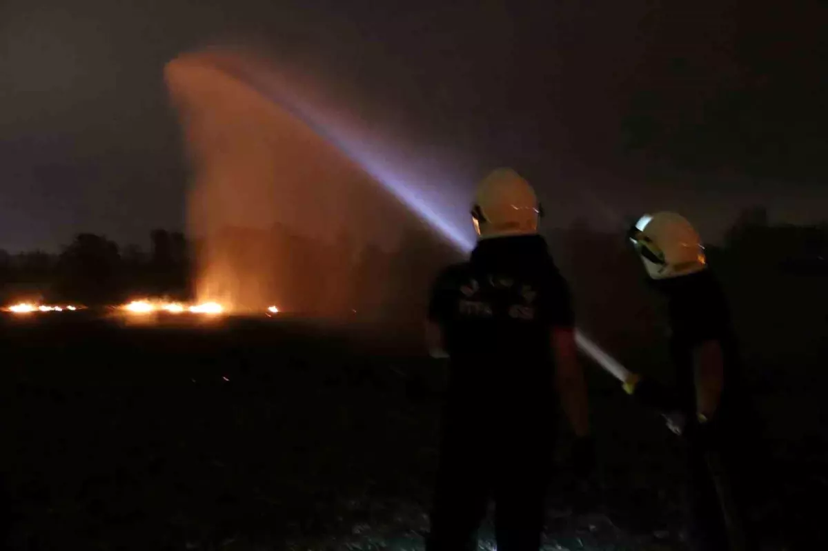 Akyazı\'da Anız Yangını Kontrol Altına Alındı