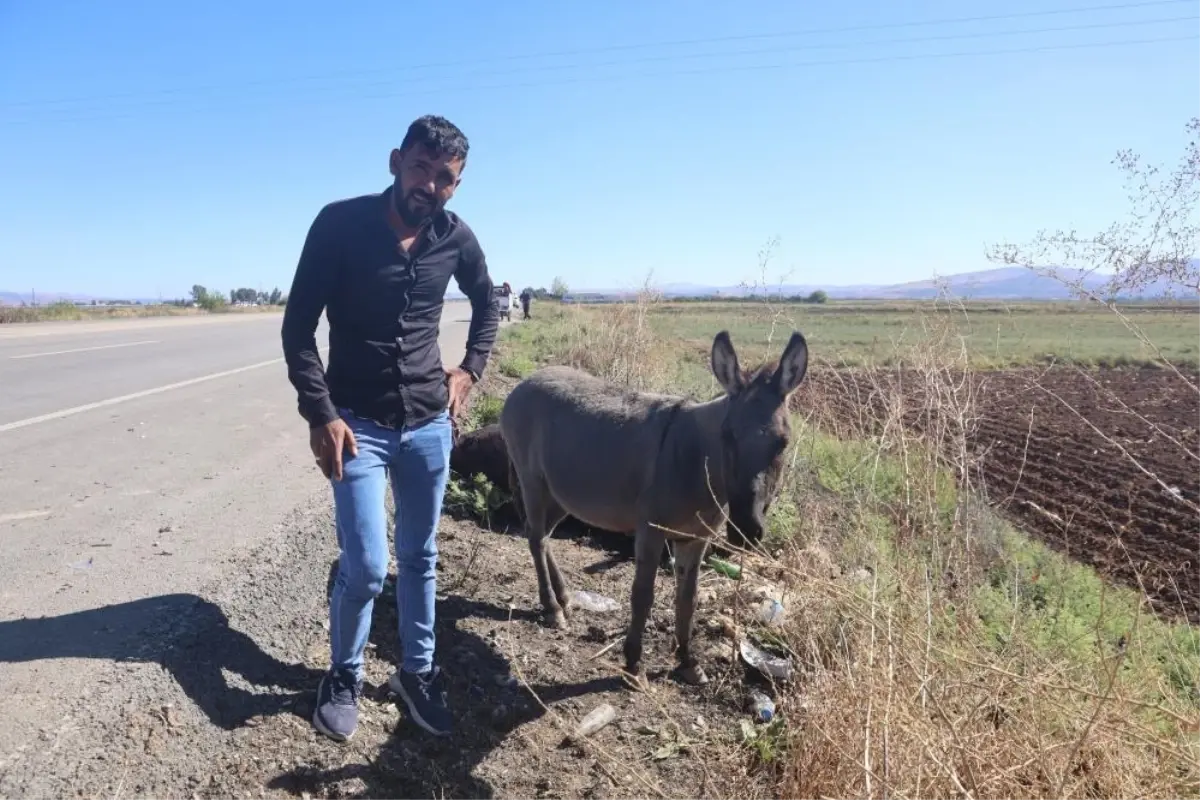 Yürek yakan anlar! Saatlerce annesinin başında ağladı