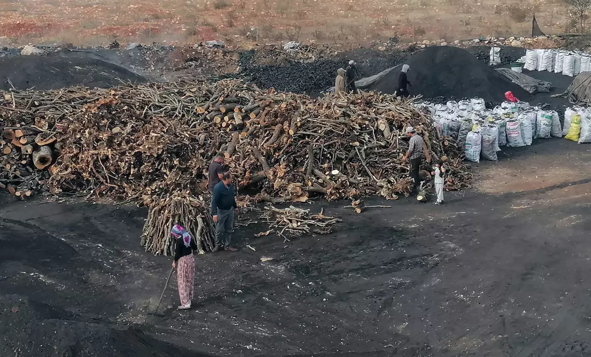 Saraç Ailesi\'nin Mangal Kömürü Mesaisi