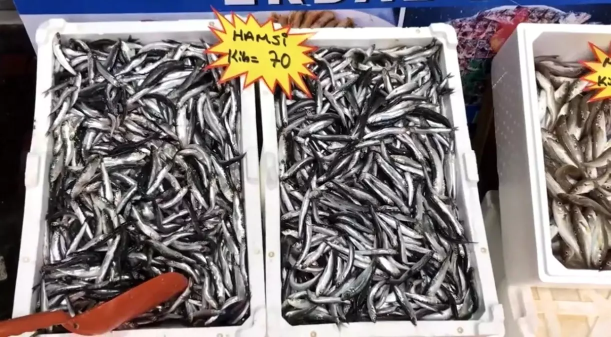 Taze Balık Tüketin Uyarısı