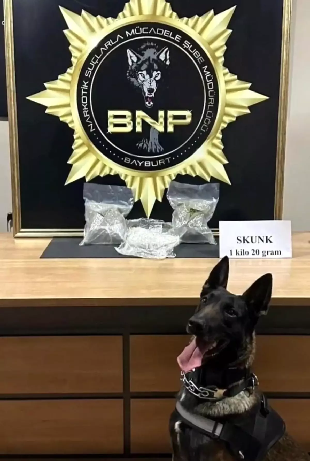 Bayburt\'ta Uyuşturucu Operasyonu: 1 Kilo Skunk Ele Geçirildi