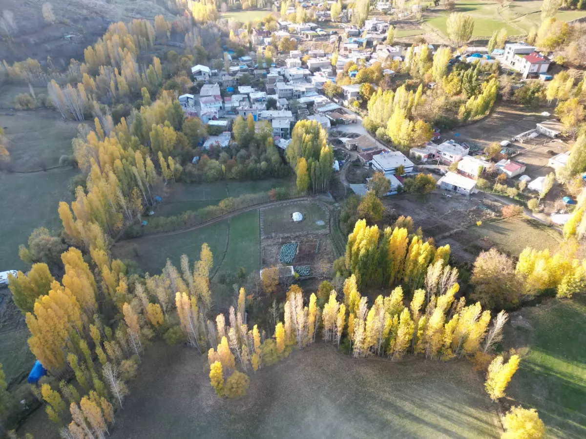 Bitlis\'te Sonbahar Renk Cümbüşü