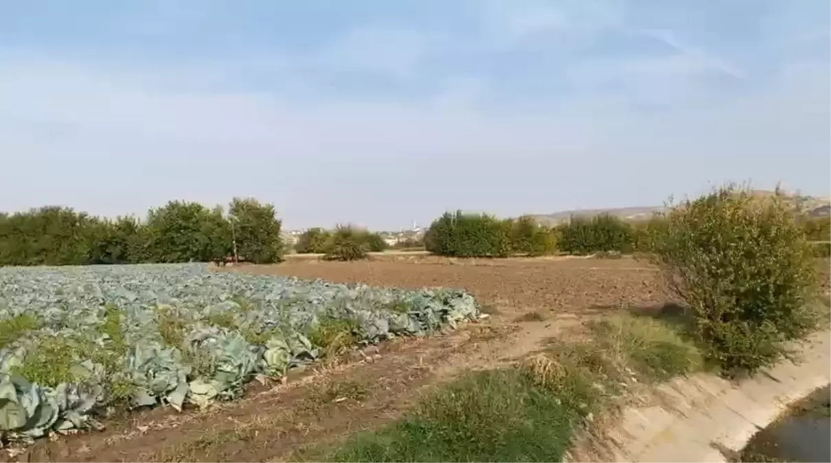 Elazığ\'da Otizmli Çocuk İçin Arama Çalışmaları Başlatıldı