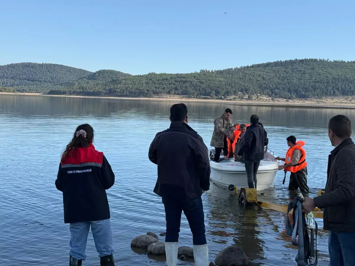 Seben\'de Hayalet Ağa Takılan 500 Balık Kurtarıldı