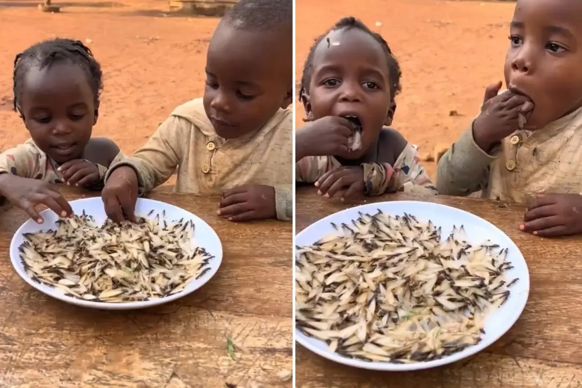 Yapay zeka değil gerçek! Yedikleri şeyin ne olduğunu bir bilseniz