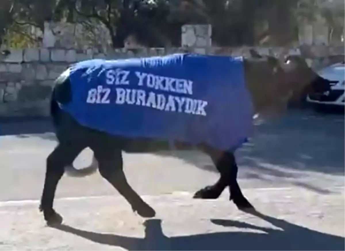 Mandalar Protesto Edildi