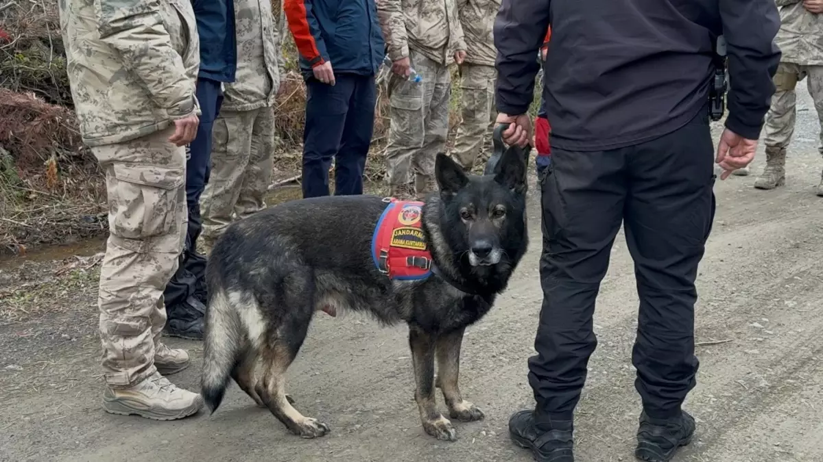 Kastamonu\'da Kayıp Anne ve Oğul Aranıyor