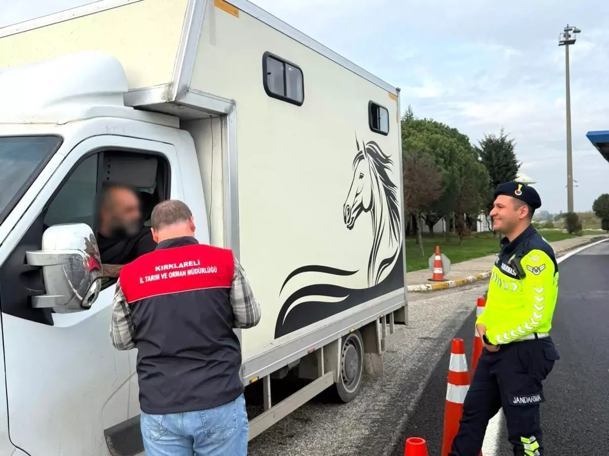 Kırklareli\'nde Canlı Hayvan Denetimleri