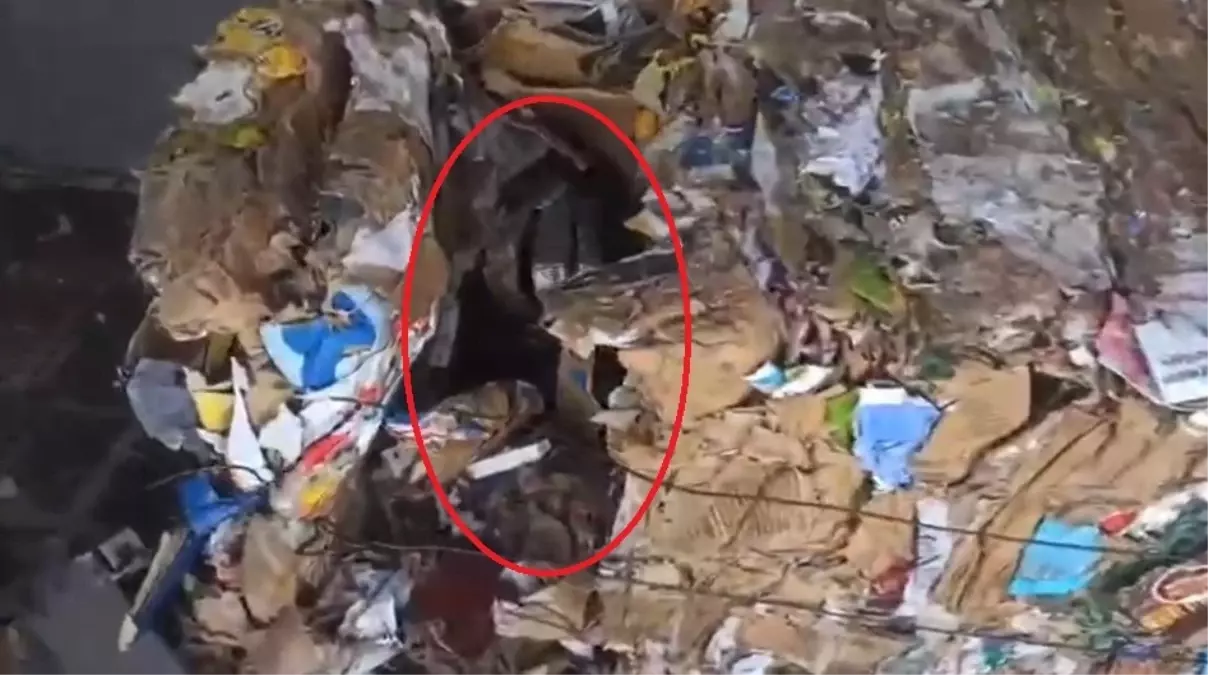 Kayseri\'de Kaçak Sigara Ele Geçirildi