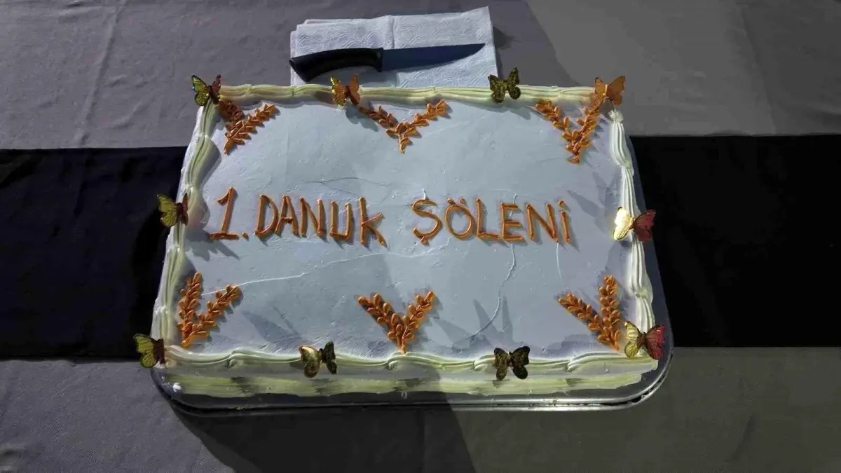 Siirt\'te Danuk Şöleni ve Sinema Etkinliği