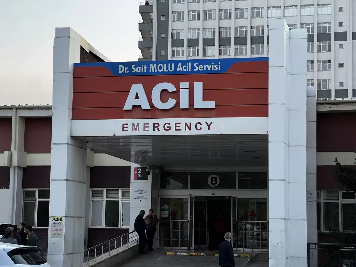 Festivalde sucuk ekmek yediler, bin pişman oldular