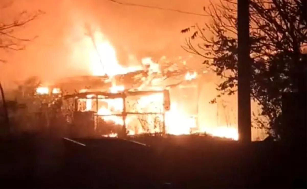 Tekirdağ\'da Yangın Kontrol Altına Alındı