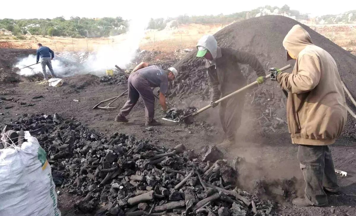 Silifke\'de Meşe Kömürü İle Geçim