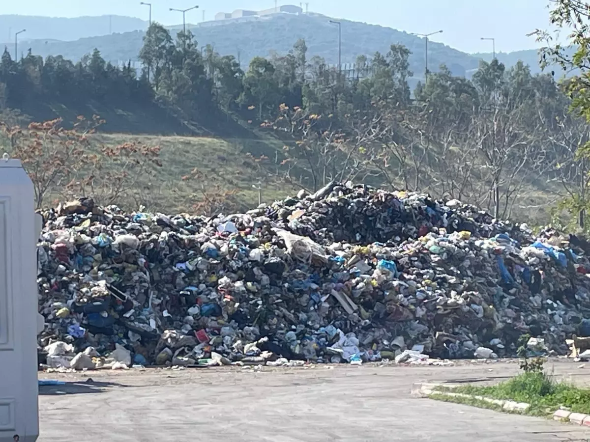 Uzundere\'de Çöp Tepkisi