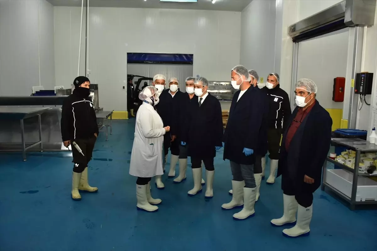 Keleş, Keban\'daki Yatırımları İnceledi