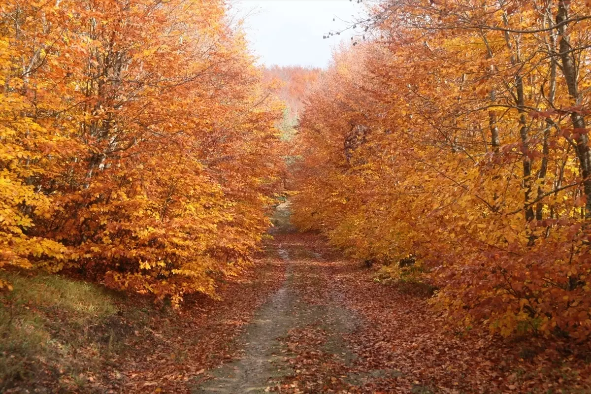 İnegöl Dağları\'nda Sonbahar Güzellikleri