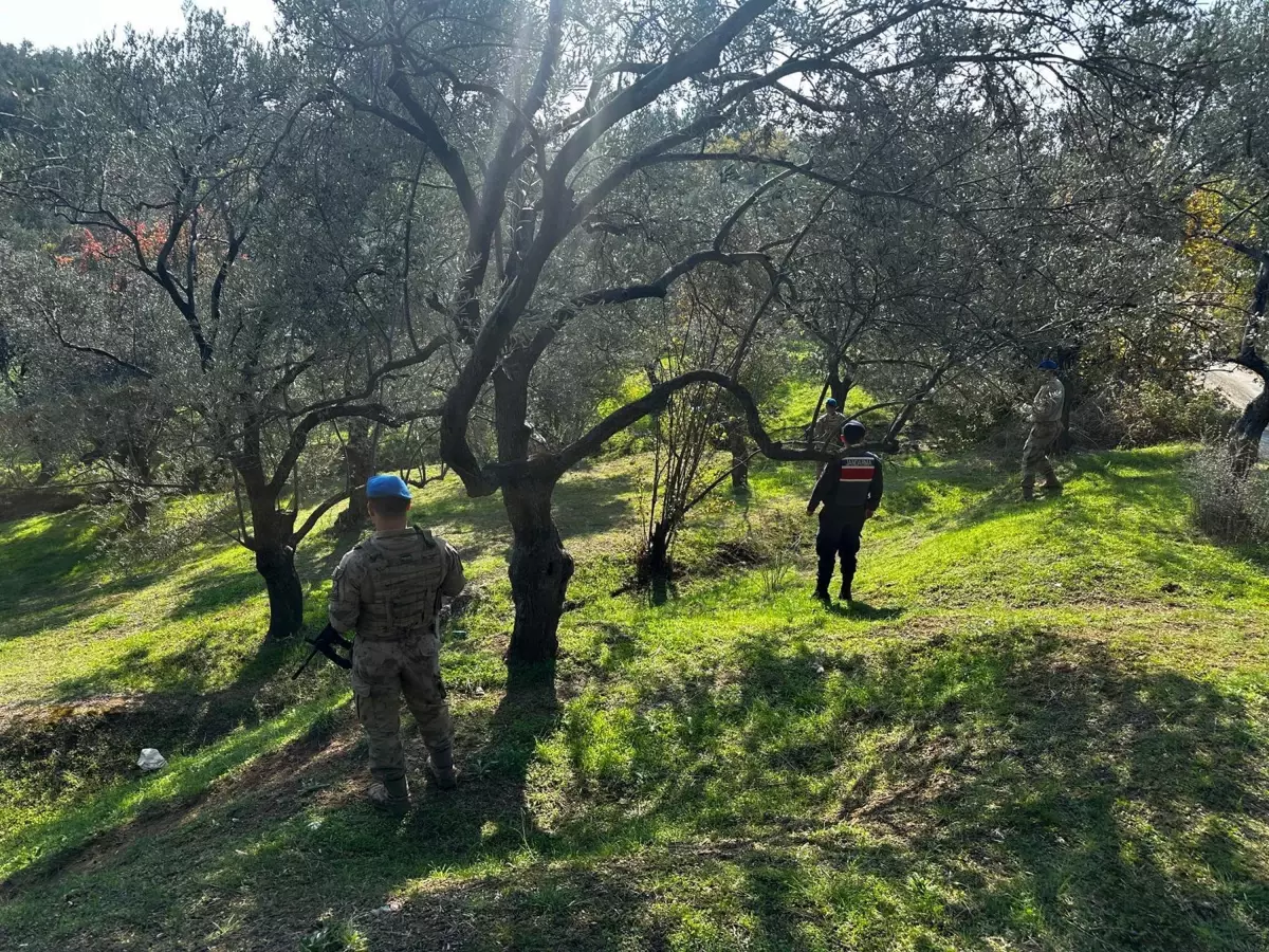 Zeytin Hasadı İçin Güvenlik Önlemleri Artırıldı