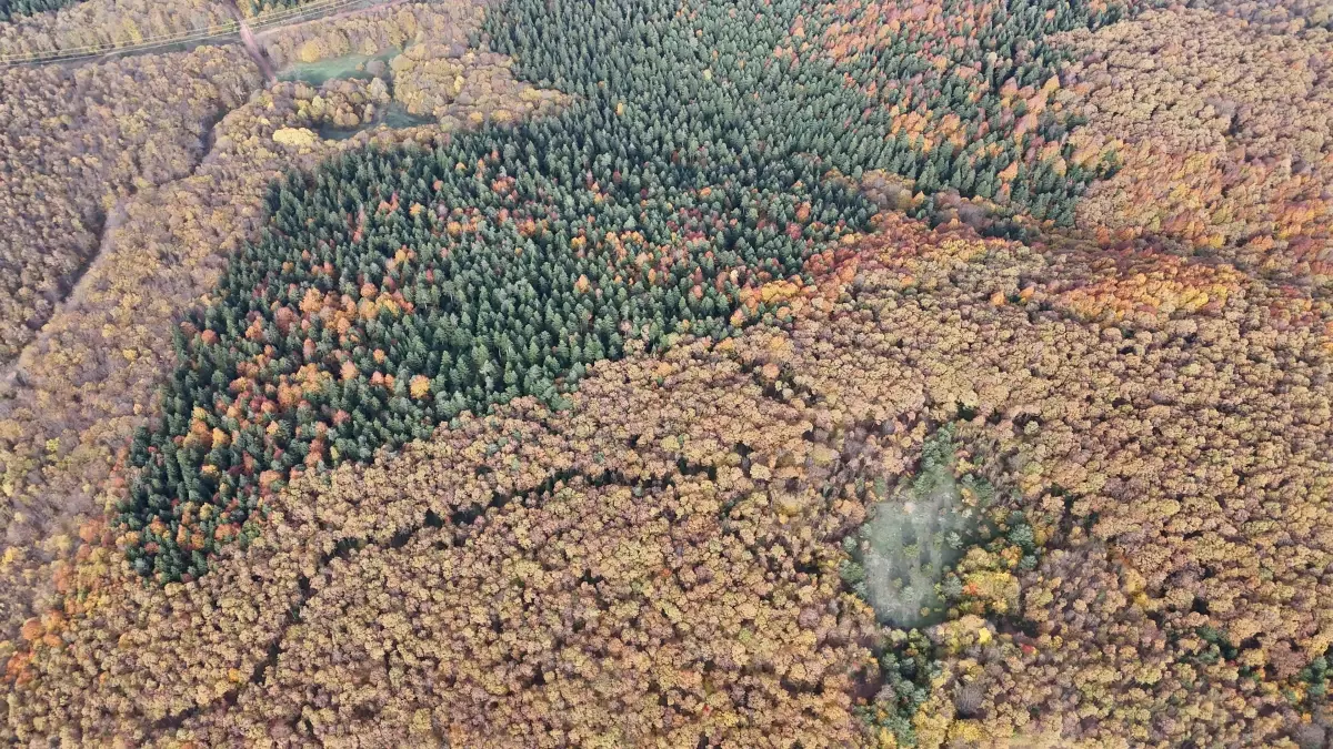Avdan Köyü\'nde Sonbahar Güzelliği